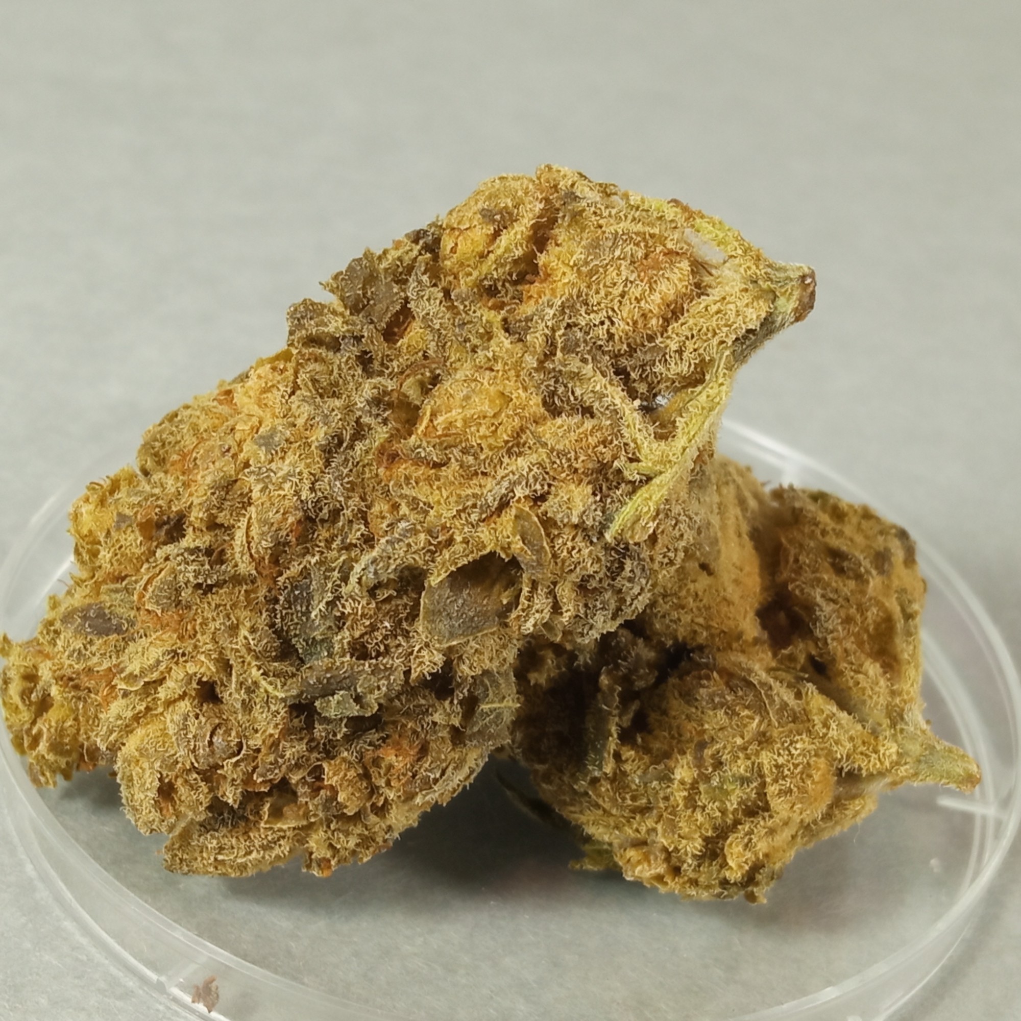 Amnesia (CBD Flower)