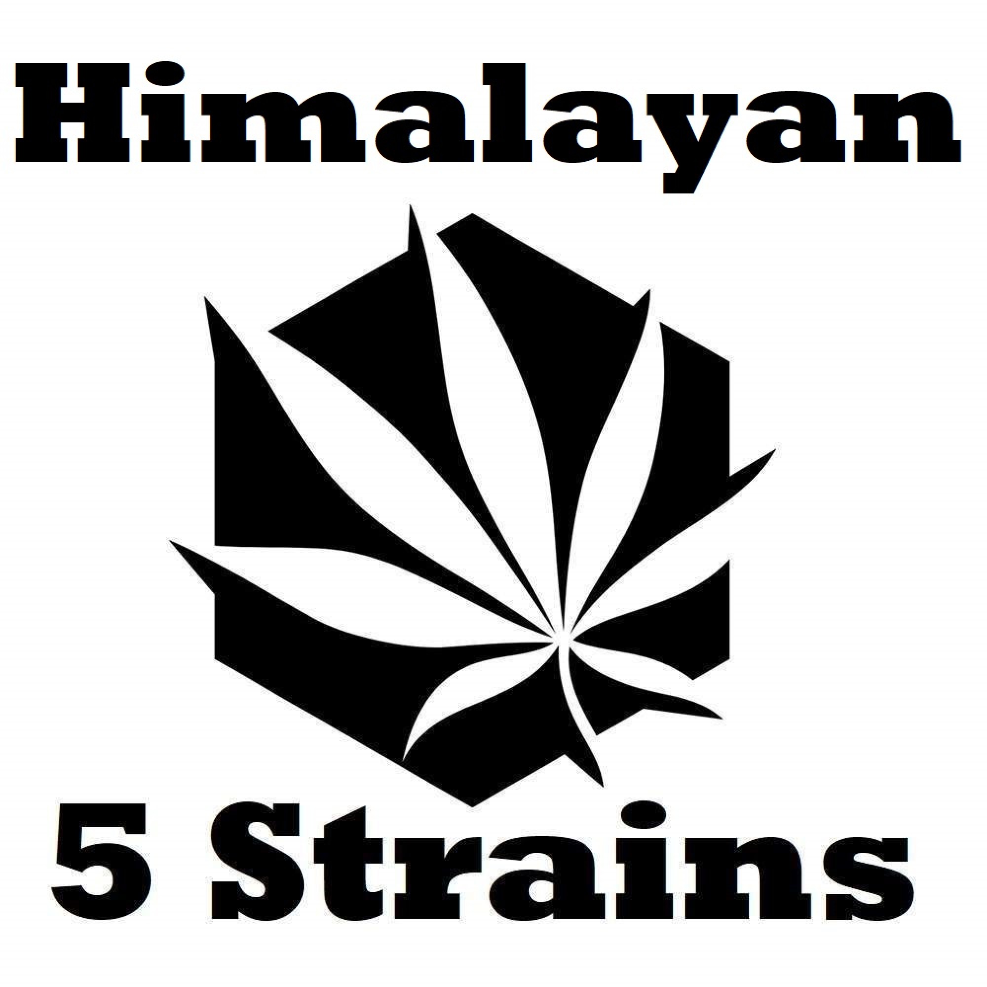 Himalayan Hash Selection Pack (CBD+CBG Hash)