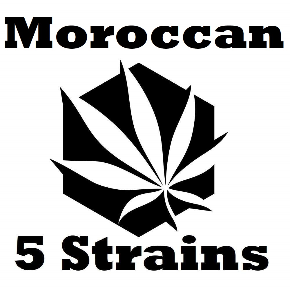 Moroccan Hash Selection Pack (CBD+CBG Hash)