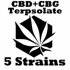 5 CBD+CBG Terpsolate Selection