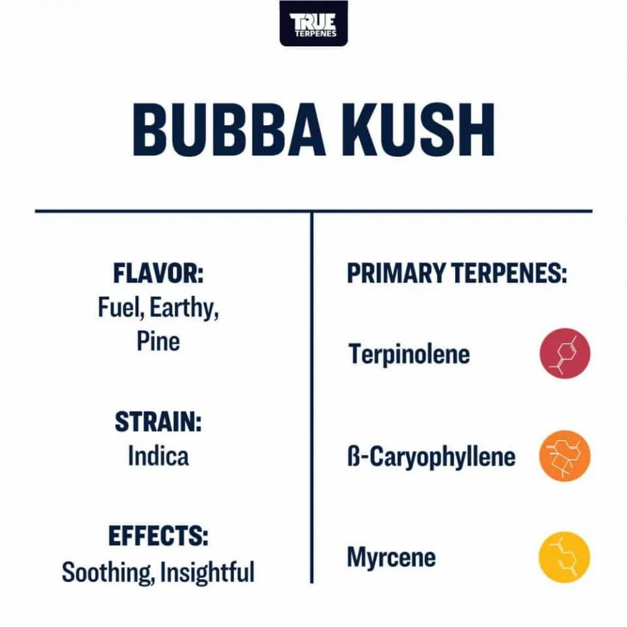 Bubba Kush Terpenes by True Terpenes
