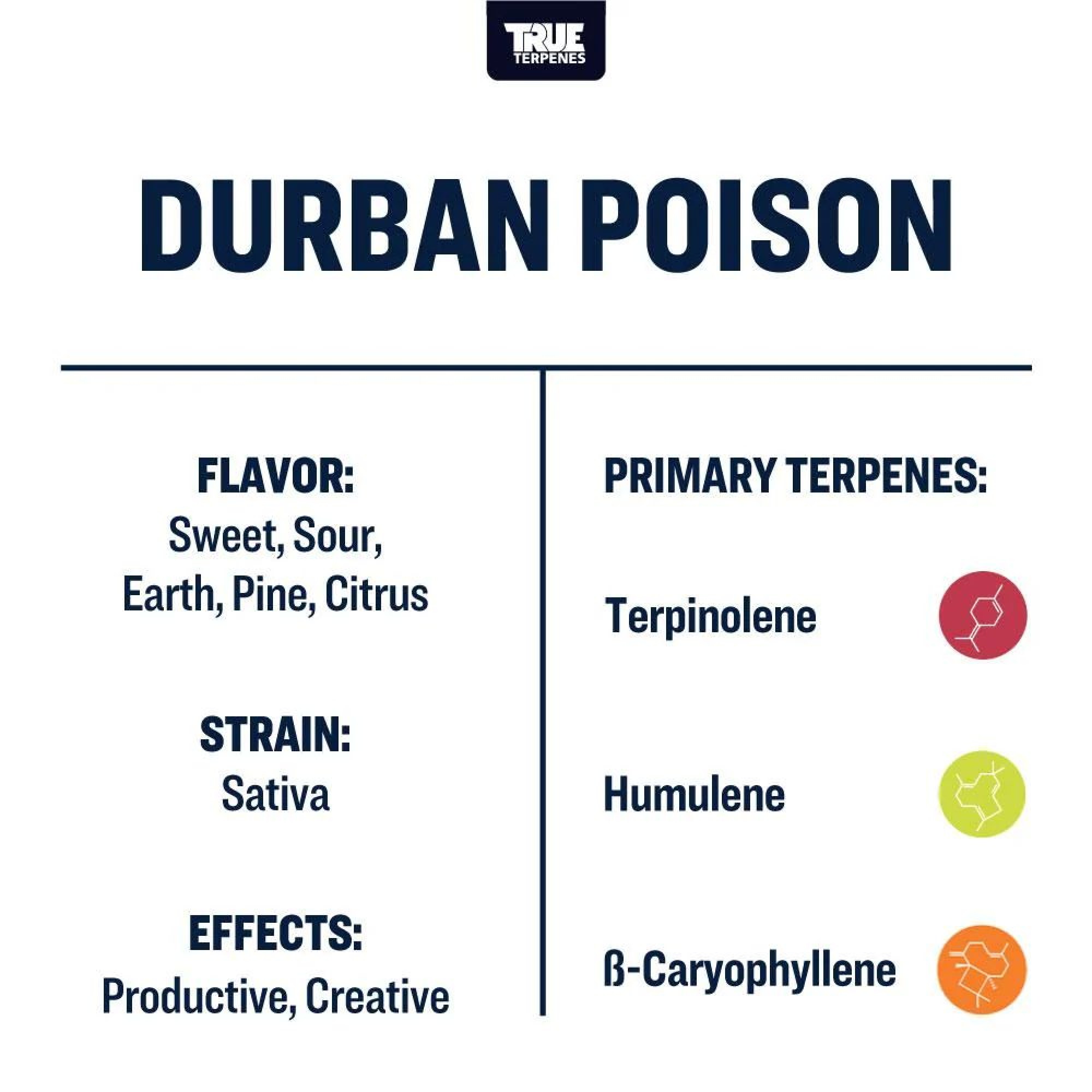 Durban Poison Terpenes by True Terpenes