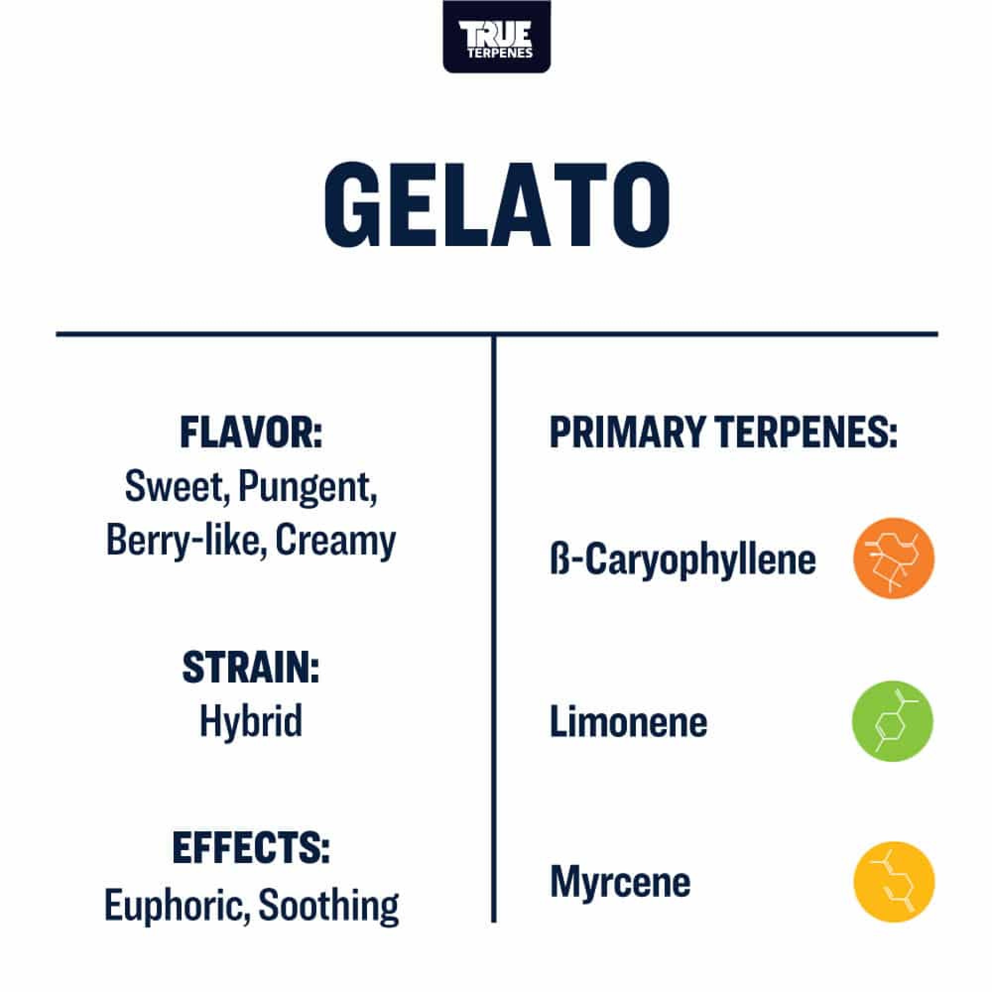 Gelato Terpenes by True Terpenes